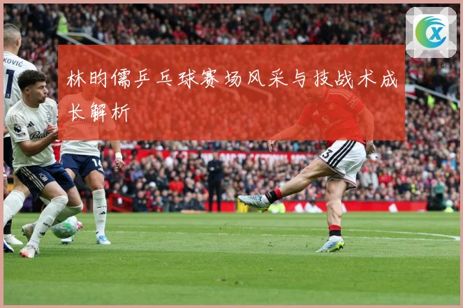 林昀儒乒乓球赛场风采与技战术成长解析