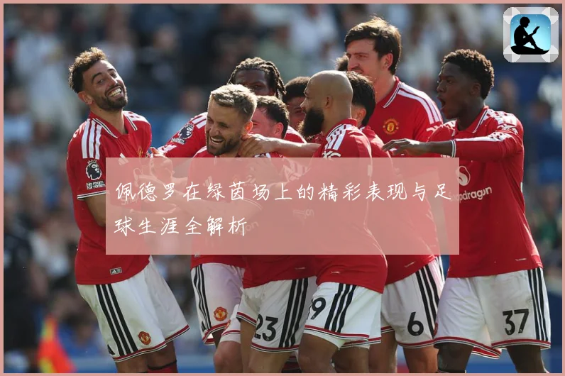 佩德罗在绿茵场上的精彩表现与足球生涯全解析