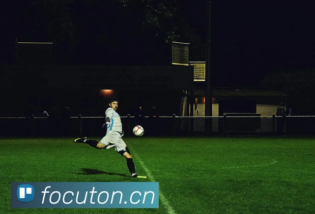 开云官网平台生态图