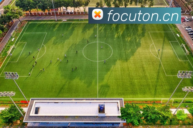 开云官网APP 封面图